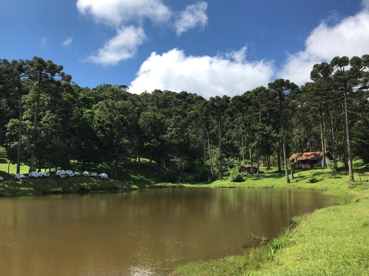 Green Mountains Hotel Monte Verde  Ngoại thất bức ảnh